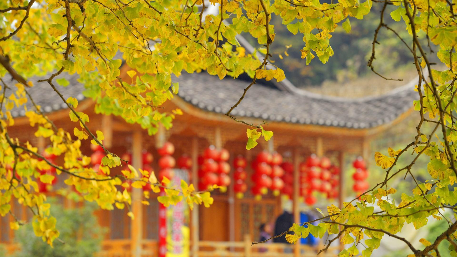 Have a date with Beijing in Autumn - Autumn is arguably the most pleasant season