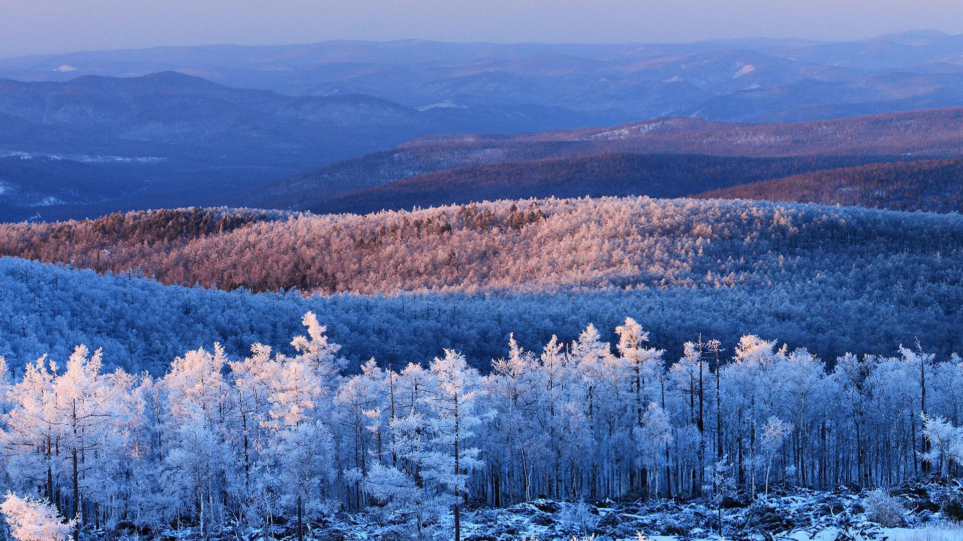 Большой хинган фото