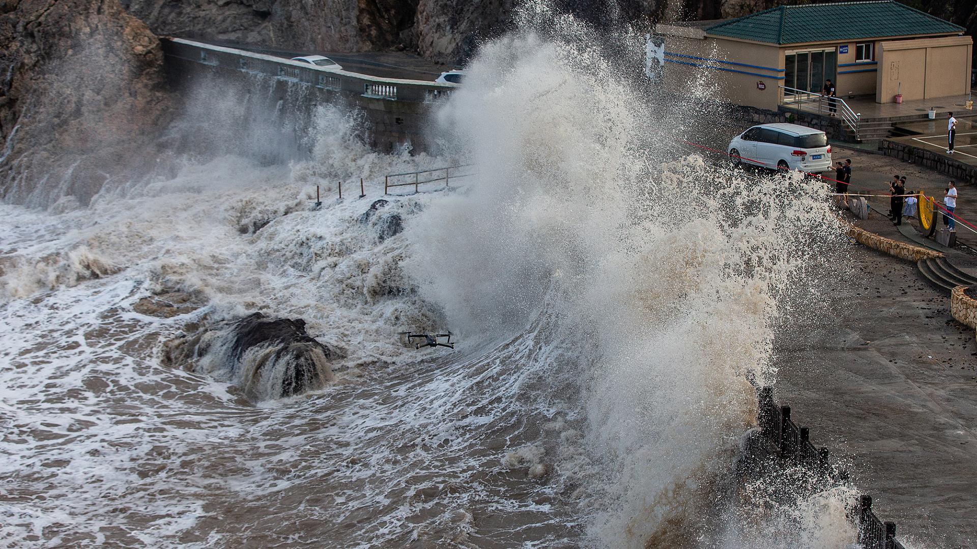 Описание и характер